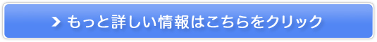 ǂ̐T|[ghNy}bNXmr[z̔TCg